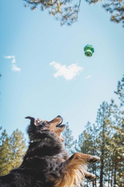 Ruffwear Toadstool Toy Moss Green Ruffwear Toadstool Toy Moss Green